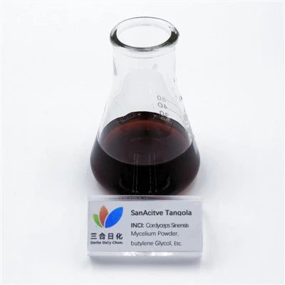 Cordyceps sinensis菌糸粉末